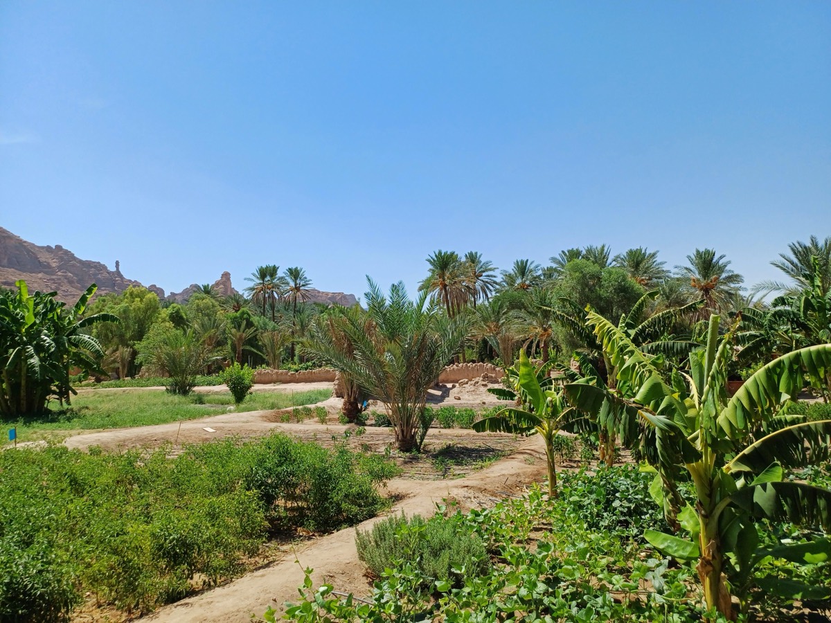 Women's AlUla Weekend