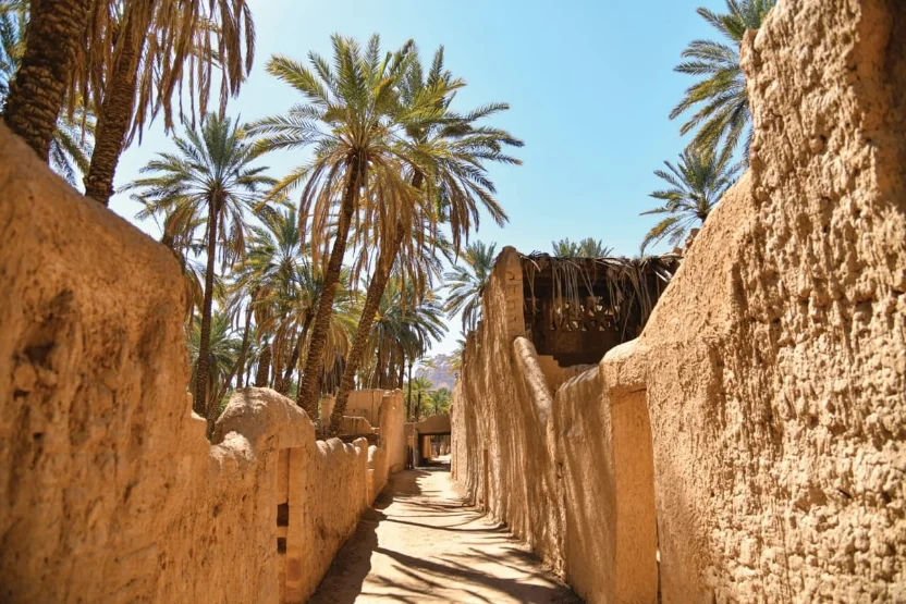 واحة العُلا